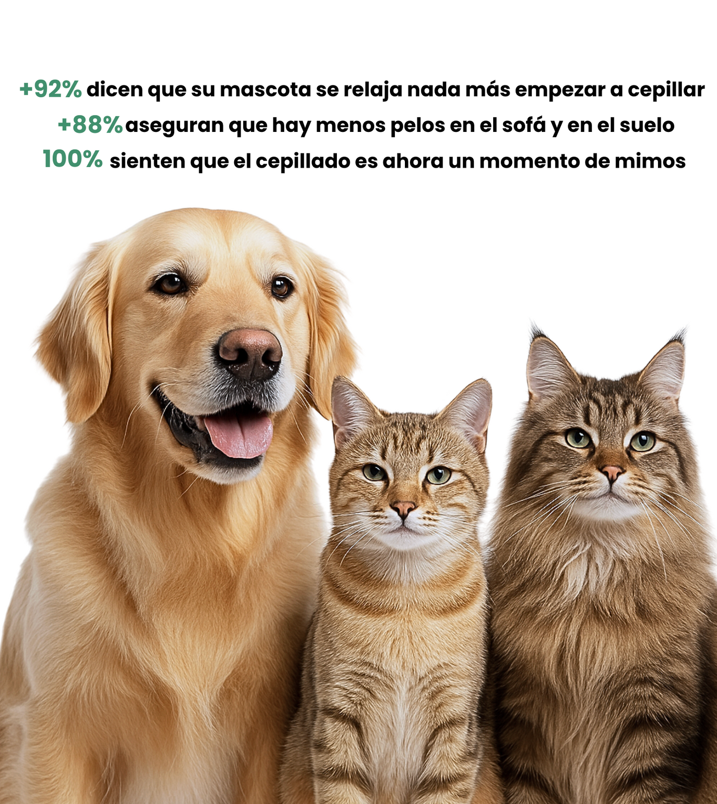 Guante Quitapelos Reutilizable y Ecológico