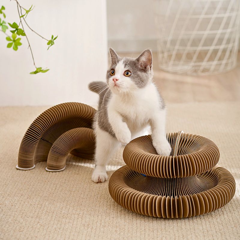 Rascador mágico 3 en 1